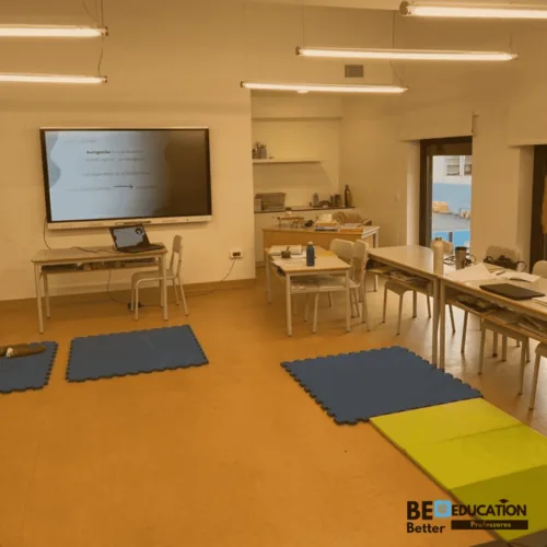 Programa de Mindfulness e Inteligência Emocional para Professores e Educadores — Heurística